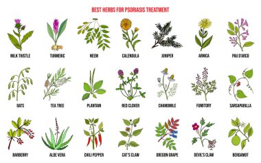 Best natural herbs for psoriasis treatment clipart