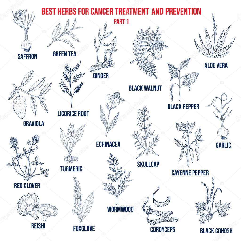Best herbs for cancer treatment and prevention part 1.