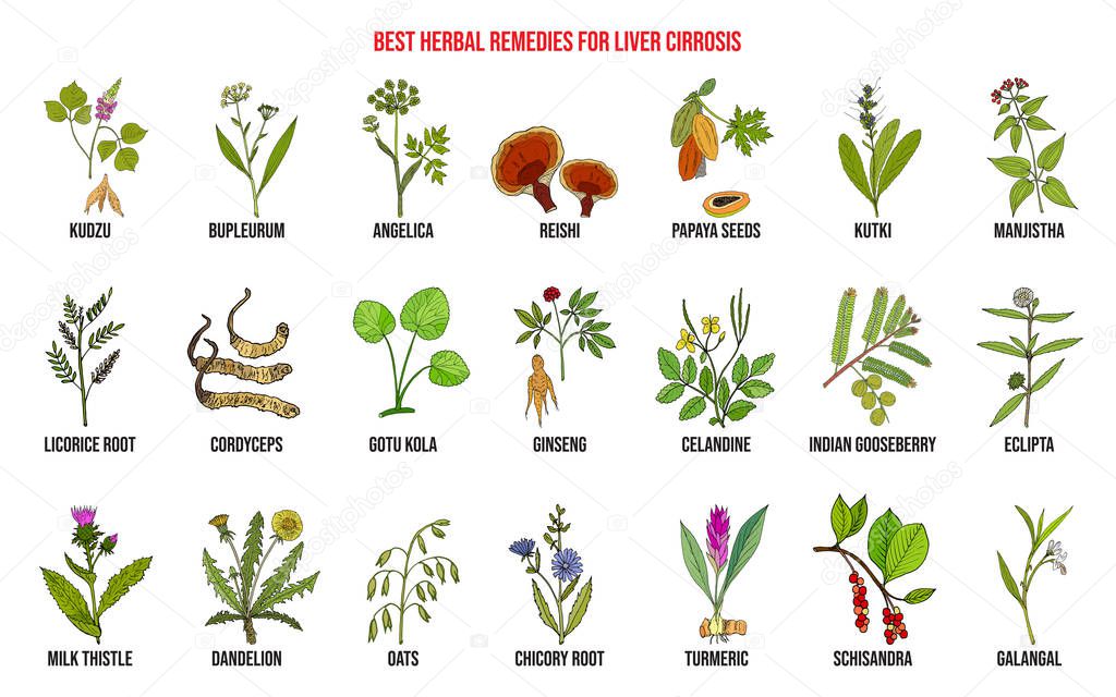 Best herbal remedies for liver cirrosis