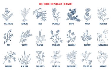 Best natural herbs for psoriasis treatment clipart