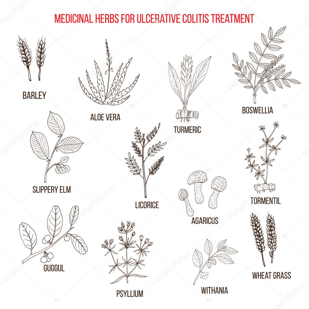 Best medicinal herbs to treat ulcerative colitis