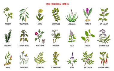 Sırt ağrısı bitkisel çözüm