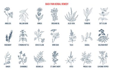 Back pain herbal remedy clipart