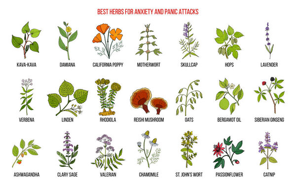 Best herbs for anxiety and panic attacks