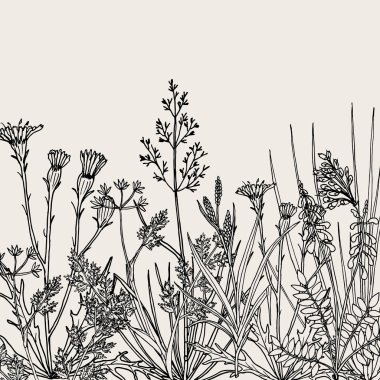 Floral background with hand drawn wild flowers, herbs and grasses clipart