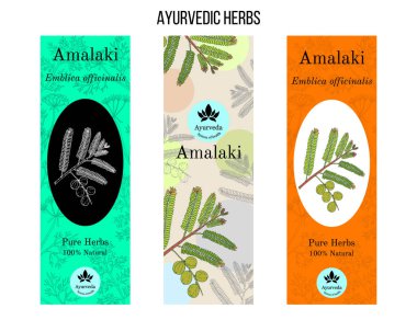 Ayurveda otlar afiş, Hint bektaşi üzümü, amla
