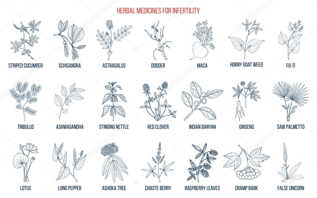 Best herbs for infertility