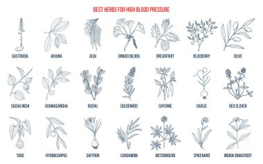 Best herbs that lower high blood pressure clipart