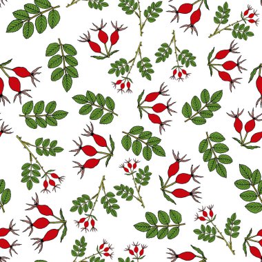 Elle çizilmiş köpek gül ile dikişsiz desen