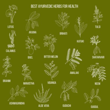 Ayurveda otlar, doğal botanik seti
