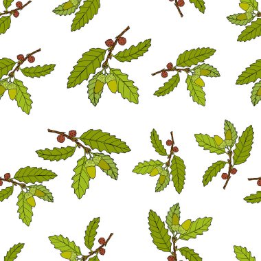 Meşe ağacı dalları ile dikişsiz vektör deseni
