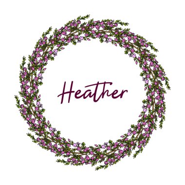 Heather çelengi. Elle çizilmiş vektör