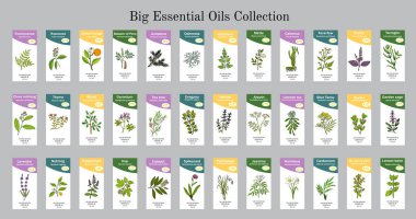 Big set of essential oil labels clipart