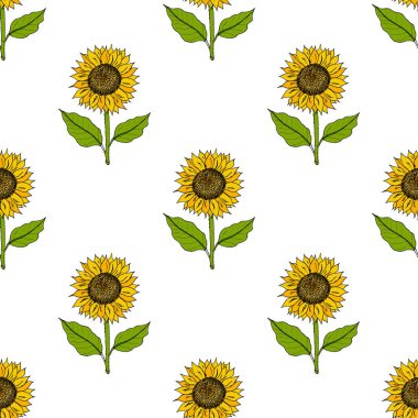 Sarı elli, kusursuz desenli ayçiçekleri.