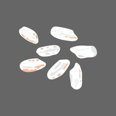 Koyu arkaplanda pirinç taneleri