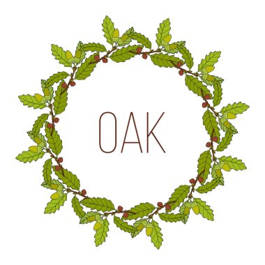 Aleppo meşe dallı çelenk