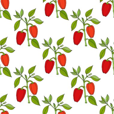 Paprika kırmızı biber baharatı dikişsiz desen