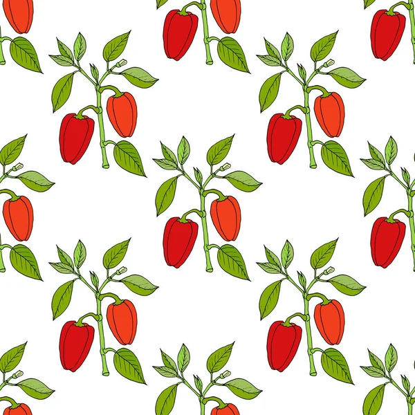 Paprika red pepper spice seamless pattern — Stock Vector