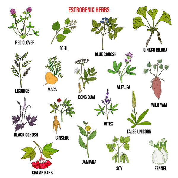 Лучший сбор эстрогенных трав
