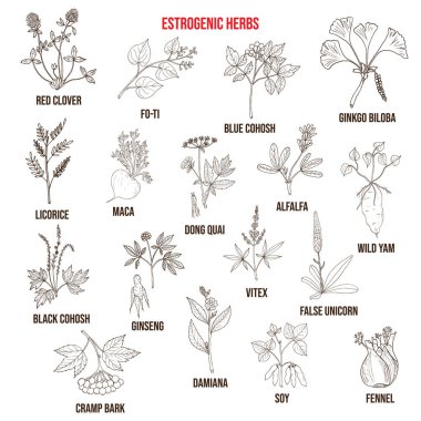 Best estrogenic herbs collection clipart