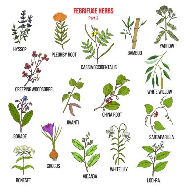 Febrifuge herbs collection. Part 2. clipart