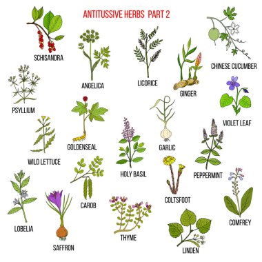 Best antitussive herbs set. Part 2 clipart