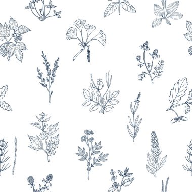 Kusursuz desenli, el yapımı tıbbi bitkiler.