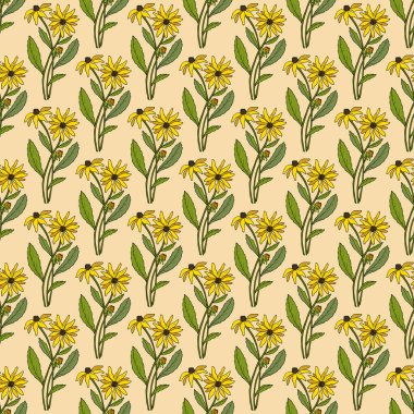 Siyah gözlü Susan 'la kusursuz desen