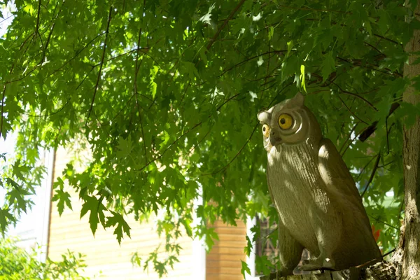 wooden owl statue in the tree crown