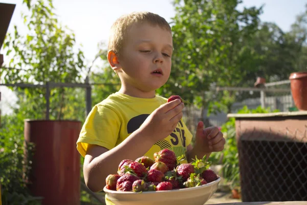 Boy Eating Strawberries Outdoors — Stock Photo, Image