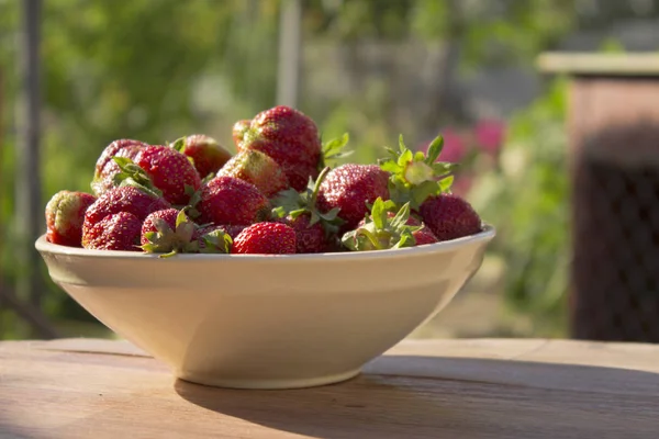 Bowl Strawberries Nature Background — Stock Photo, Image