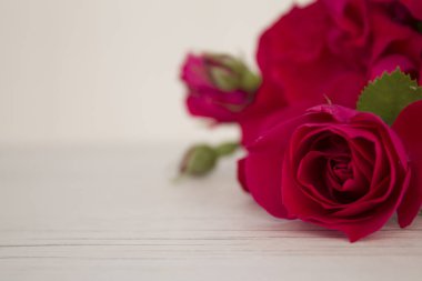 kırmızı gül açık ahşap renkli yakın çekim üzerinde. çiçek arka plan