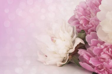 ışık çiçek arka plan peonies