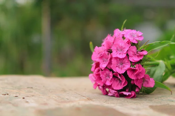 Pink Flowers Wooden Table Outdoors — Stock Photo, Image