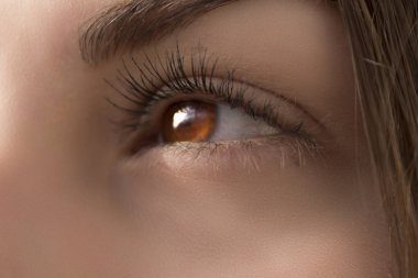 Güzel kahverengi kadın göz uzun kirpik ile