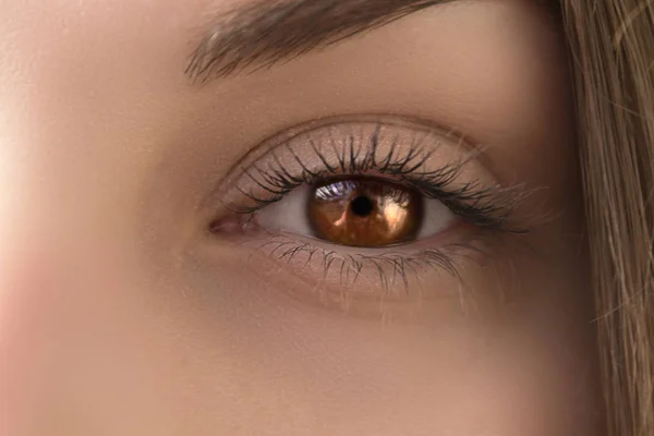 Vacker Brun Kvinnliga Ögon Med Långa Ögonfransar — Stockfoto