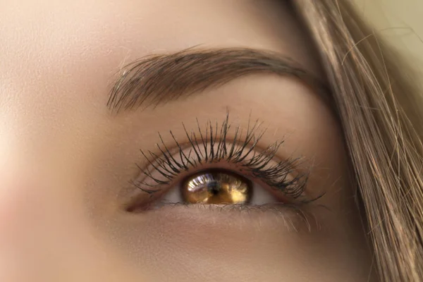 Beautiful Brown Female Eye Long Eyelashes — Stock Photo, Image