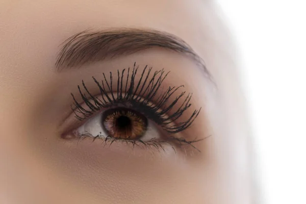 Beautiful Brown Female Eye Long Eyelashes — Stock Photo, Image