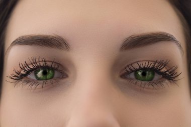parlak yeşil gözlü uzun kirpiklerini yakın çekim