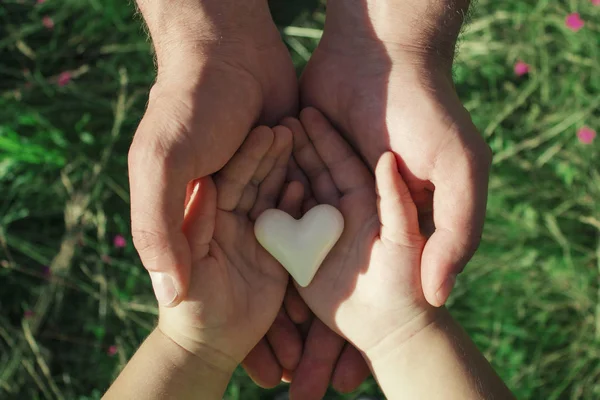 Serce Rękach Dziecka Dorosłego Człowieka Ojca Syna Trzyma Serce Tle — Zdjęcie stockowe