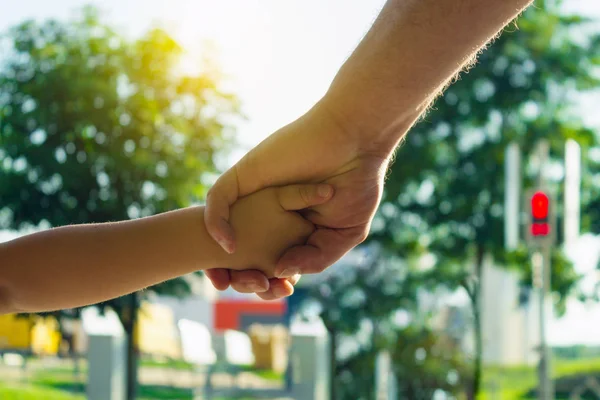 Bir yaya geçidi adlı bir çocuk koruma kavramı. Bir trafik ışığı, bir geçiş. Babası oğlunun elini tutar
