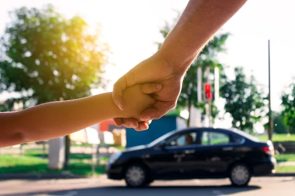 Konceptet För Att Skydda Ett Barn Ett Övergångsställe Ett Trafikljus — Stockfoto