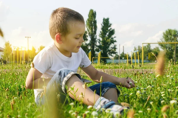 Kaukasischer Junge Sitzt Sommer Auf Gras — Stockfoto