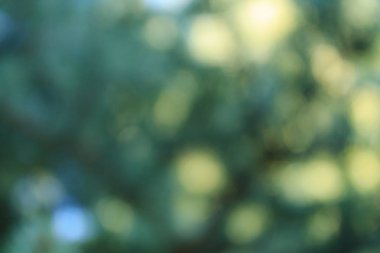 Arka plan ile bokeh. Ufuk bitkisel arka plan