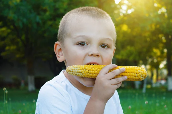Boy Eats Corn Outdoor Park Corn Hands Child — Stock Photo, Image