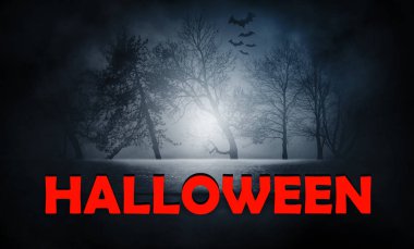 Koyu arka plan boş sokak, arka plan Cadılar Bayramı. Orman geçmiş vasıl gece, sihirli parıltı, yıldız