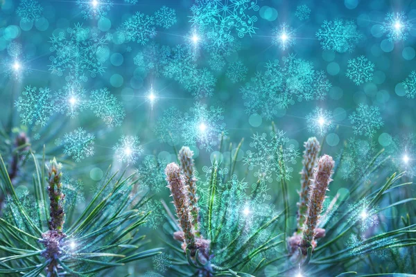 Kerstmis Achtergrond Met Spar Takken Gloed Sneeuwvlokken Bokeh — Stockfoto