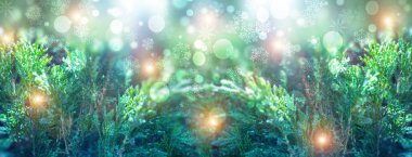 Noel arka plan ile çam dalları, ışıma, kar taneleri ve bokeh.