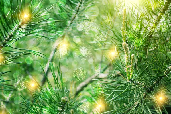 Fondo Navidad Con Ramas Abeto Brillo Copos Nieve Bokeh —  Fotos de Stock