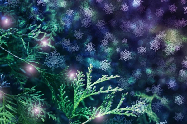 Fond Noël Avec Branches Sapin Lueur Flocons Neige Bokeh — Photo